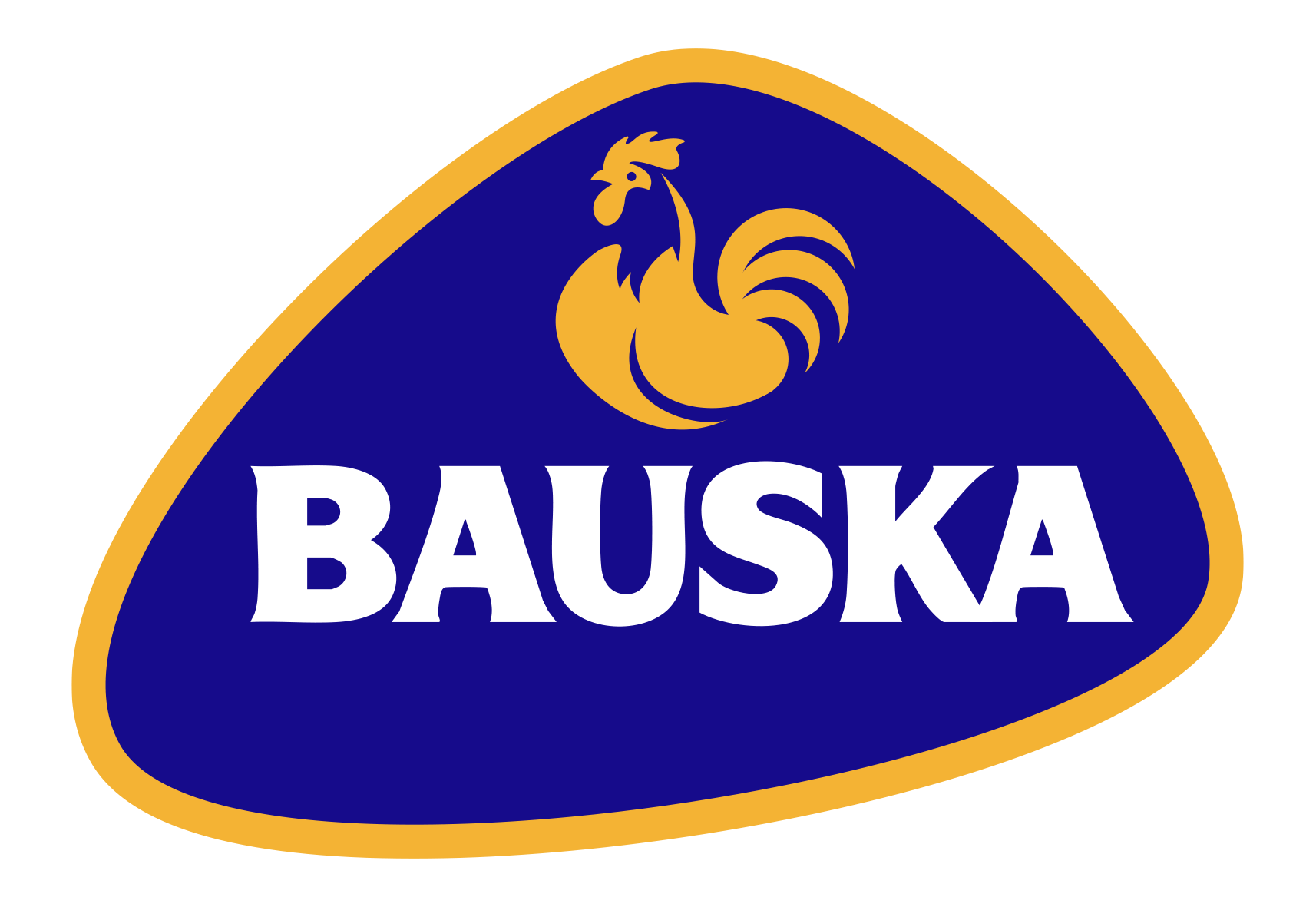 Bauska logo
